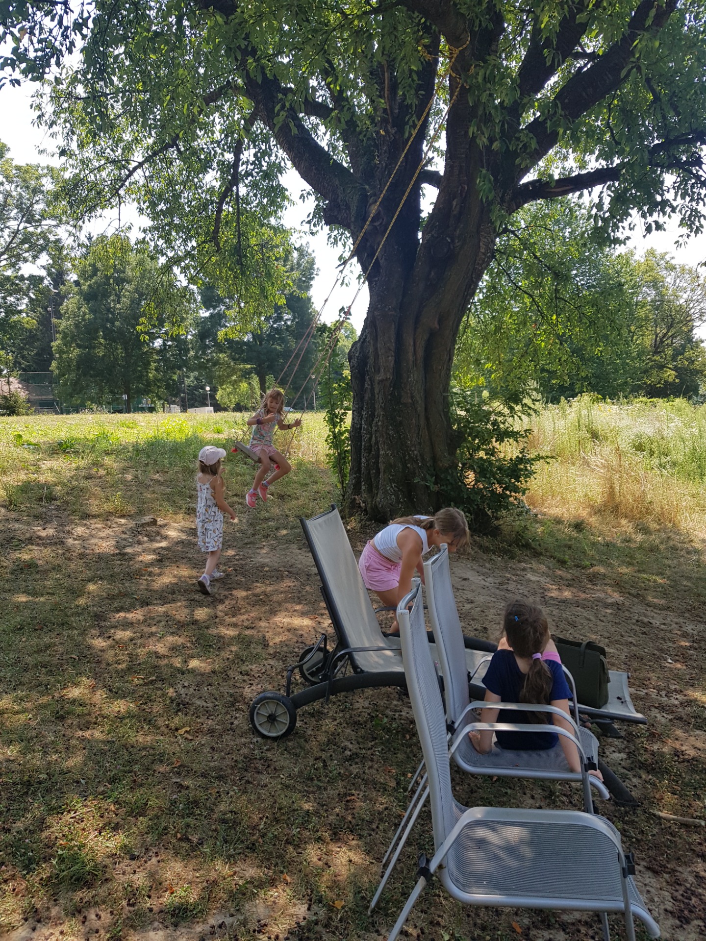 fák árnyékában aktív pihenés